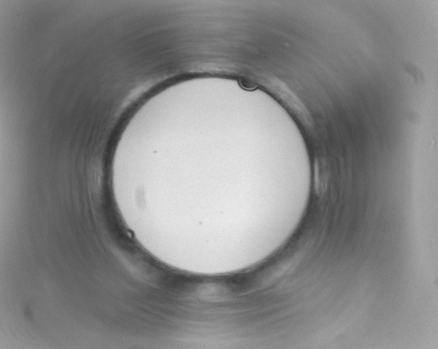 X0000115420204200911241355