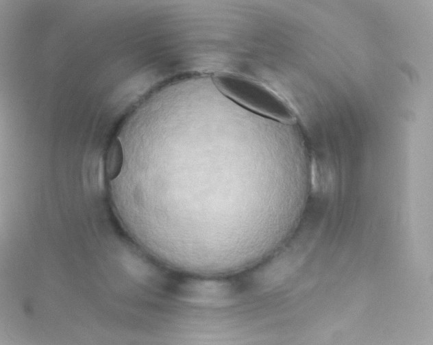 X0000115420205200911241355