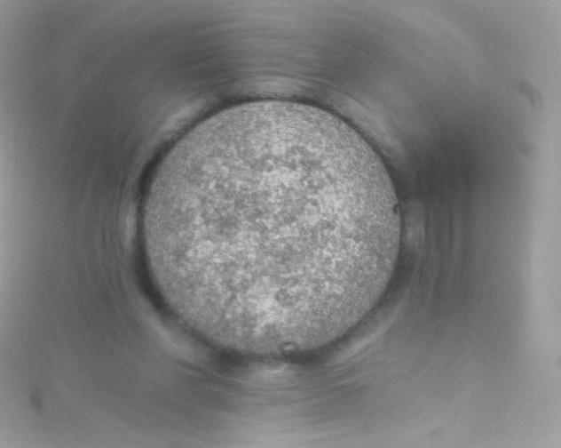 X0000115420206200911241355