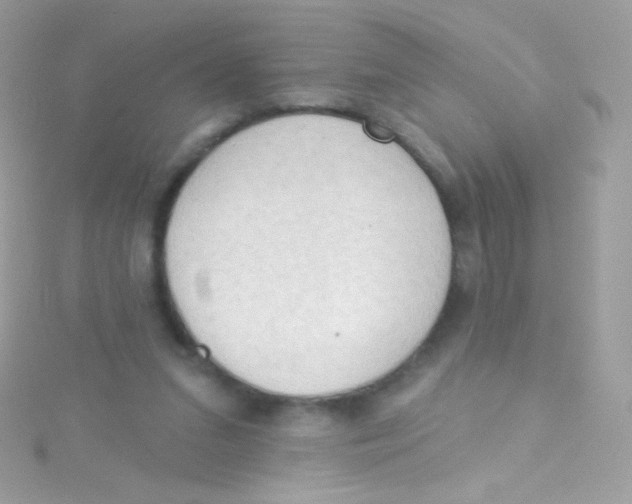 X0000115420207200911241355