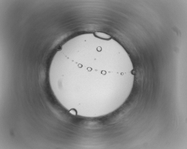 X0000115420208200911241355