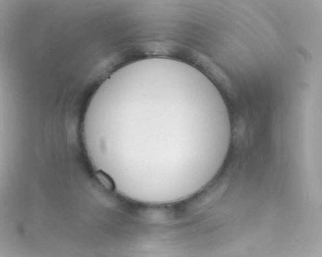 X0000115420209200911241355