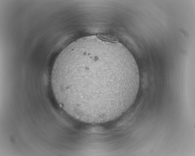 X0000115420210200911241355