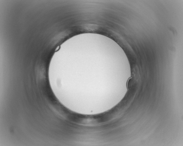 X0000115420212200911241355