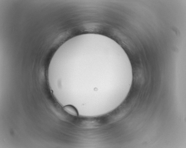 X0000115420213200911241355