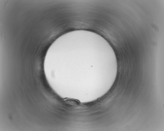 X0000115420215200911241355