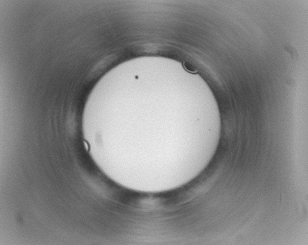 X0000115420216200911241355