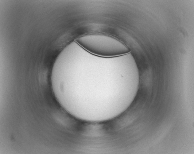 X0000115420217200911241355