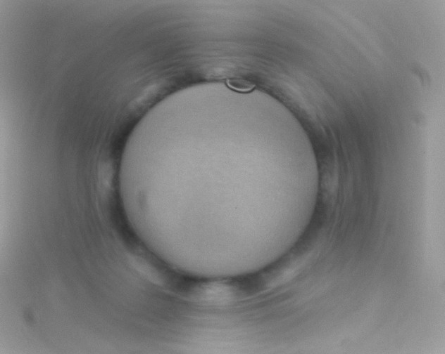 X0000115420219200911241355