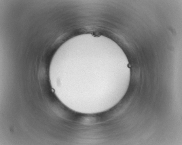 X0000115420220200911241355