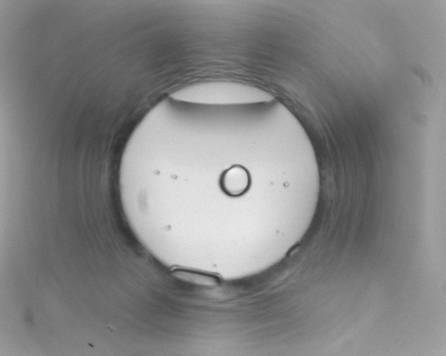 X0000115420221200911241355