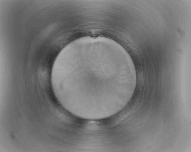 X0000115420222200911241355