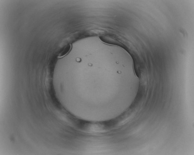 X0000115420223200911241354