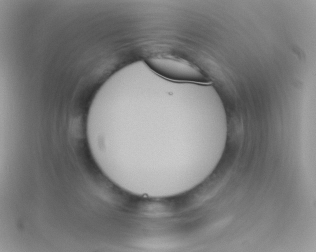 X0000115420224200911241354