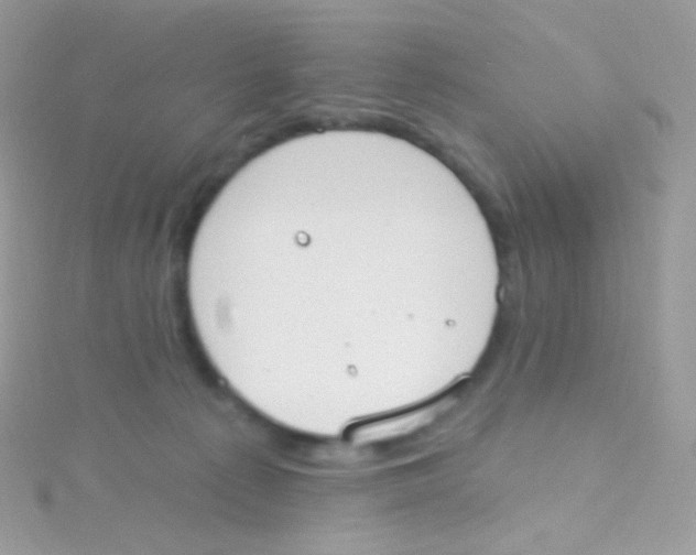 X0000115420225200911241354