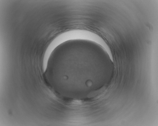 X0000115420227200911241354