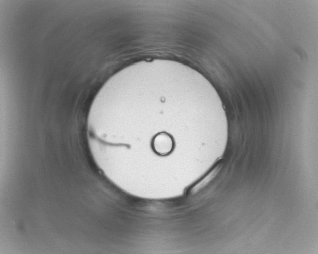 X0000115420229200911241354