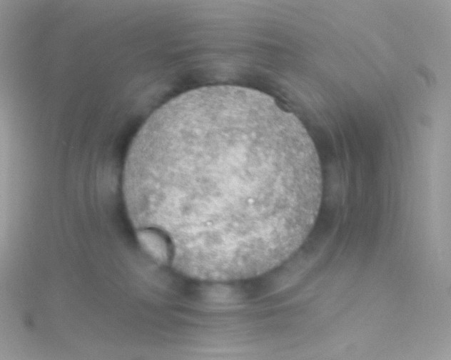 X0000115420230200911241354