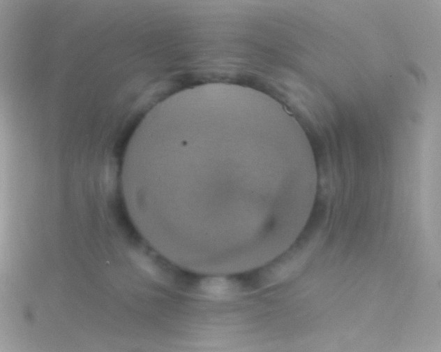 X0000115420231200911241354