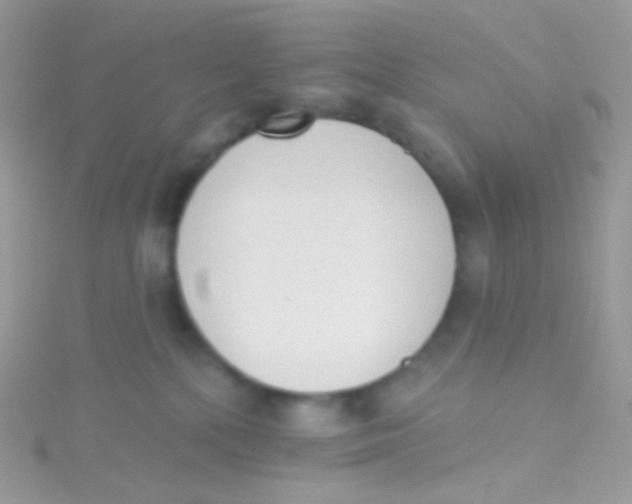 X0000115420232200911241354