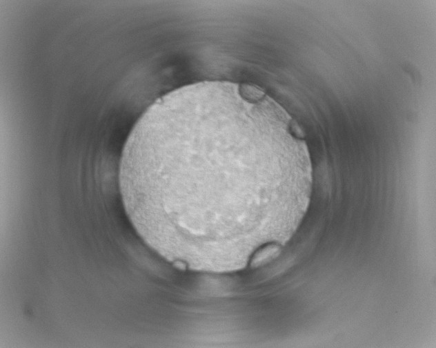 X0000115420234200911241354