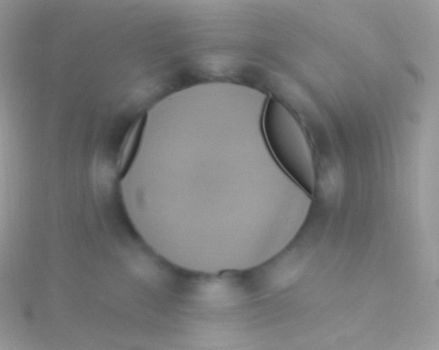 X0000115420235200911241354