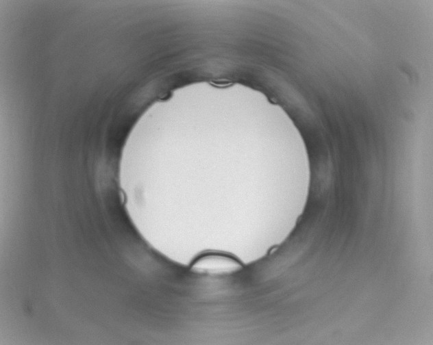 X0000115420236200911241354