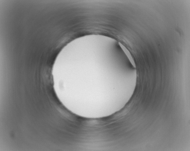 X0000115420237200911241354