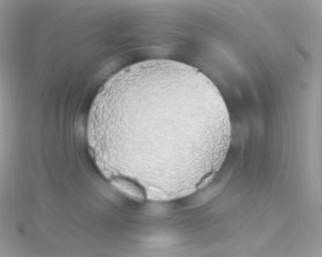 X0000115420238200911241354