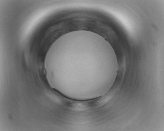 X0000115420239200911241354