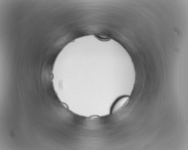 X0000115420240200911241354