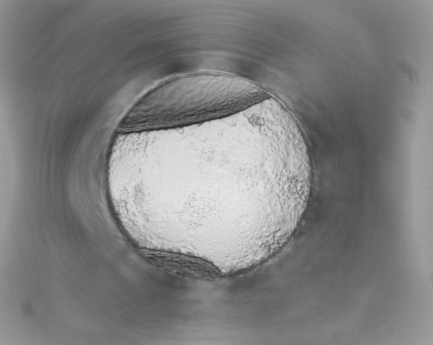 X0000115420241200911241354