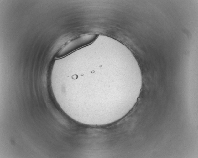 X0000115420242200911241354