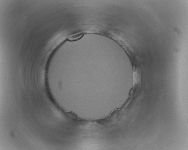 X0000115420243200911241354