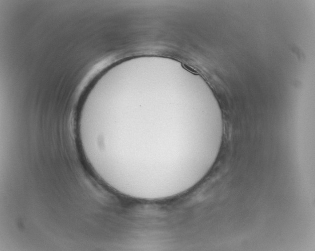 X0000115420244200911241354