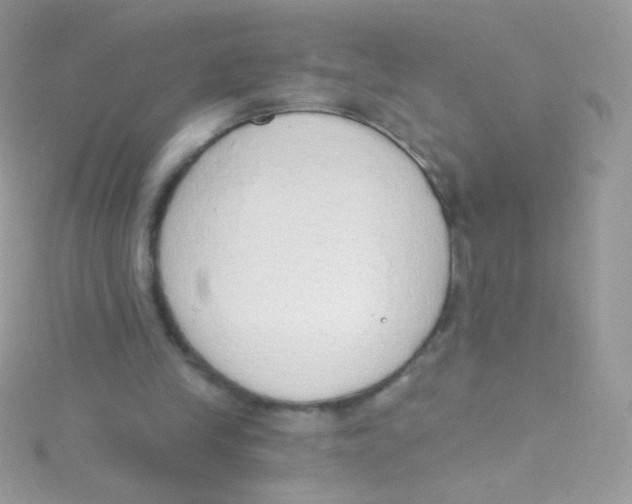 X0000115420245200911241354