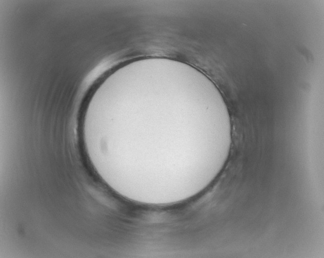 X0000115420246200911241354