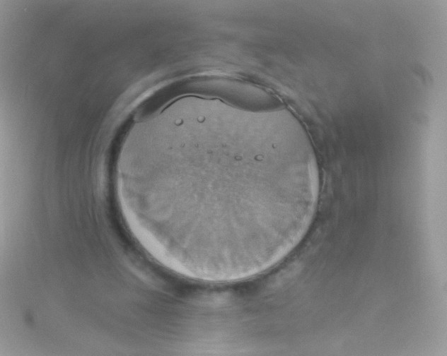 X0000115420247200911241354