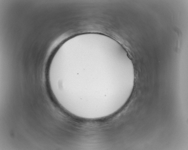 X0000115420248200911241354