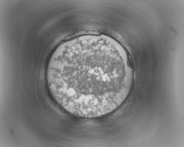 X0000115420249200911241354