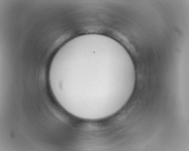 X0000115420250200911241354