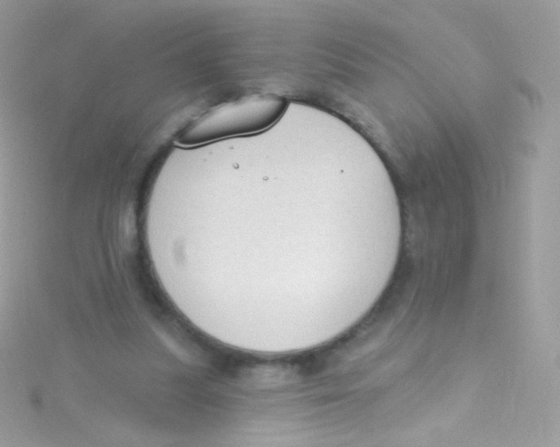 X0000115420251200911241354