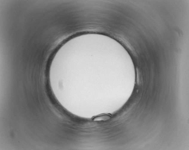 X0000115420252200911241354