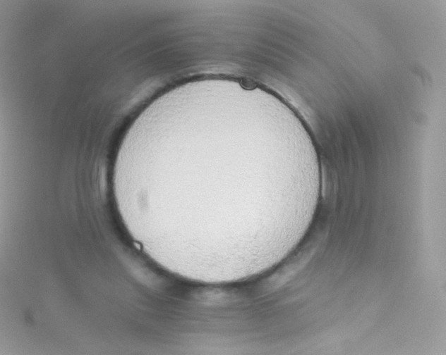 X0000115420253200911241354