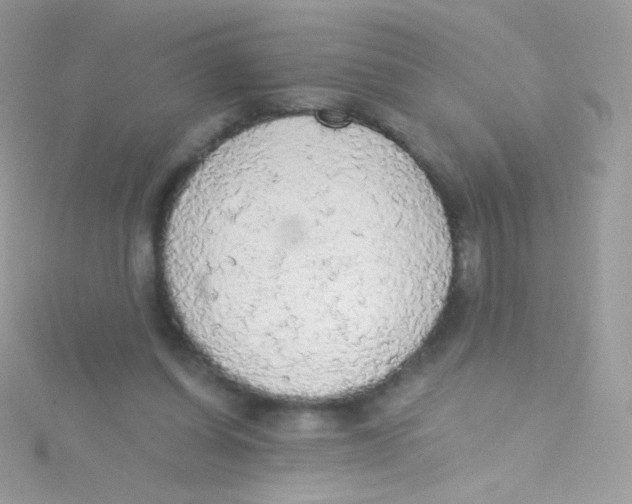 X0000115420254200911241354