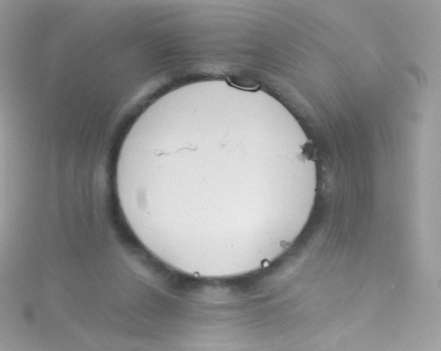 X0000115420256200911241354