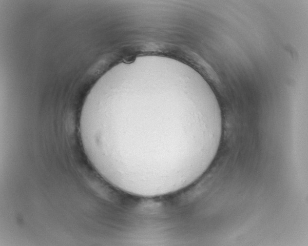 X0000115420257200911241354