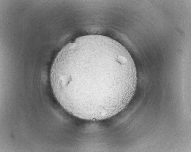 X0000115420259200911241354