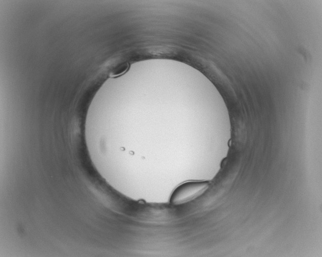 X0000115420260200911241354