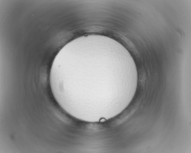 X0000115420261200911241354